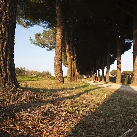 Farm stay Peretti Fonteblanda