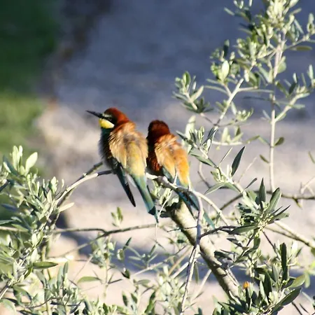 Peretti Agroturismo Fonteblanda